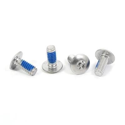 Stainless Steel Torx Drive Round Head Screw Pan Head Screw with Pin