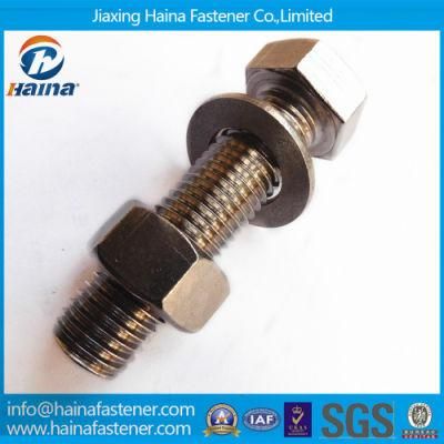 Jiaxing Haina Gr2 Gr5 Stainless Steel 1/2&prime;&prime; Hex Cap Screw