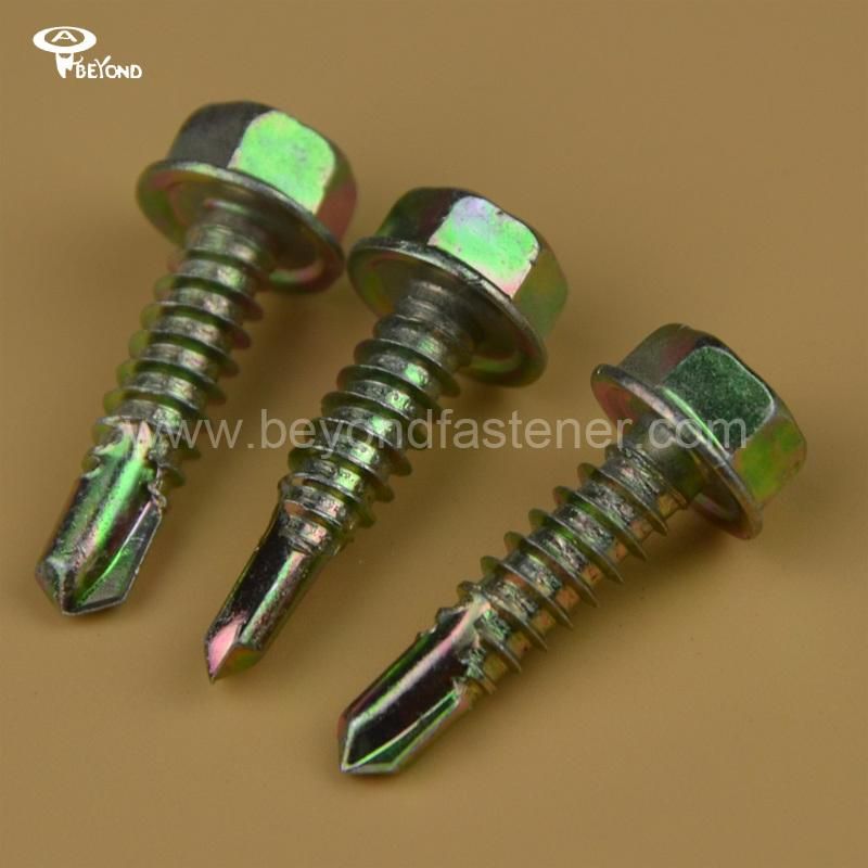 Socket Cap Screw/Self Drilling Screw/Bolts/Self Tapping Screw
