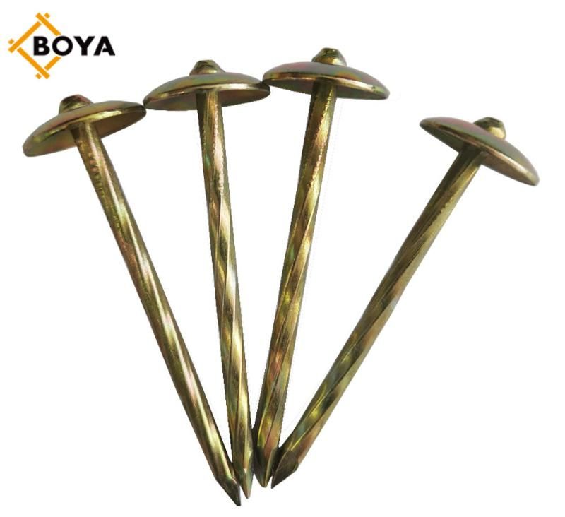 Factory Manufactured Cheap Price 3.125kg/Box X 8boxes/CTN 10bwgx2 1/2" 12bwgx2" Galvanized Roofing Nails with Smooth Shank Umbrella Head for Africa Market
