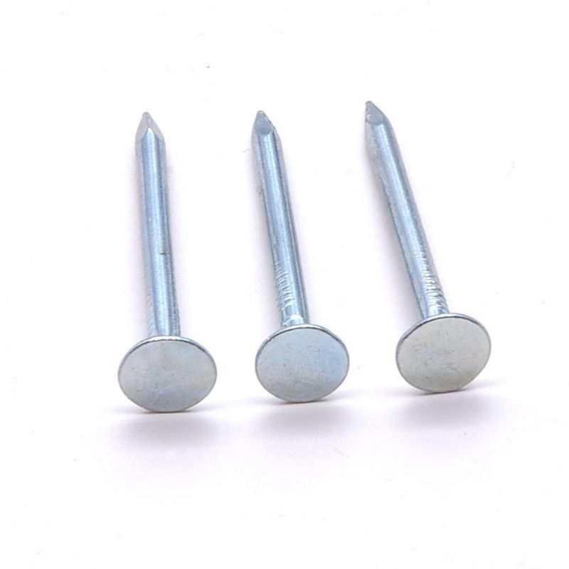 High Quality Galvanized Large Flat Head Iron Wire Nails Roofing Ceiling Nails Clout Cupper Nails