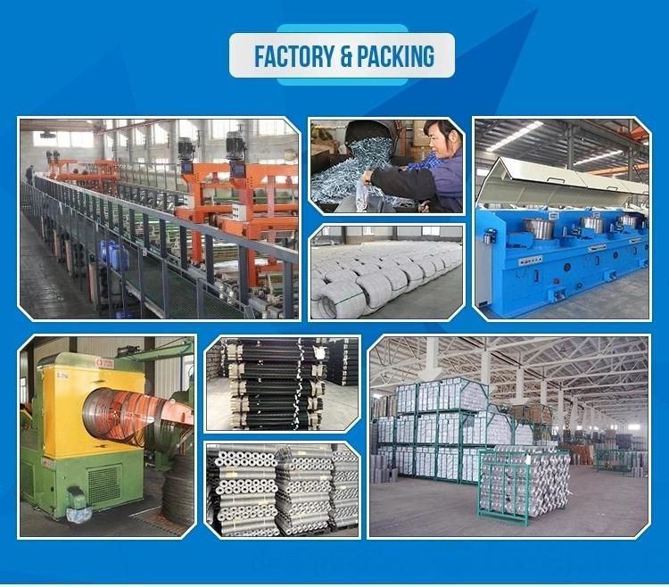 Common Round Iron Wire Nail