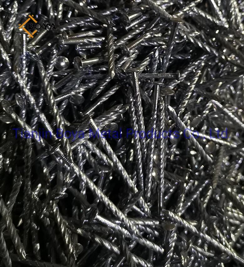 Common Nail/Spiral Nail/Ring Nail/Pallet Nail/Pallet Iron Nail/Building Nail/Hardware