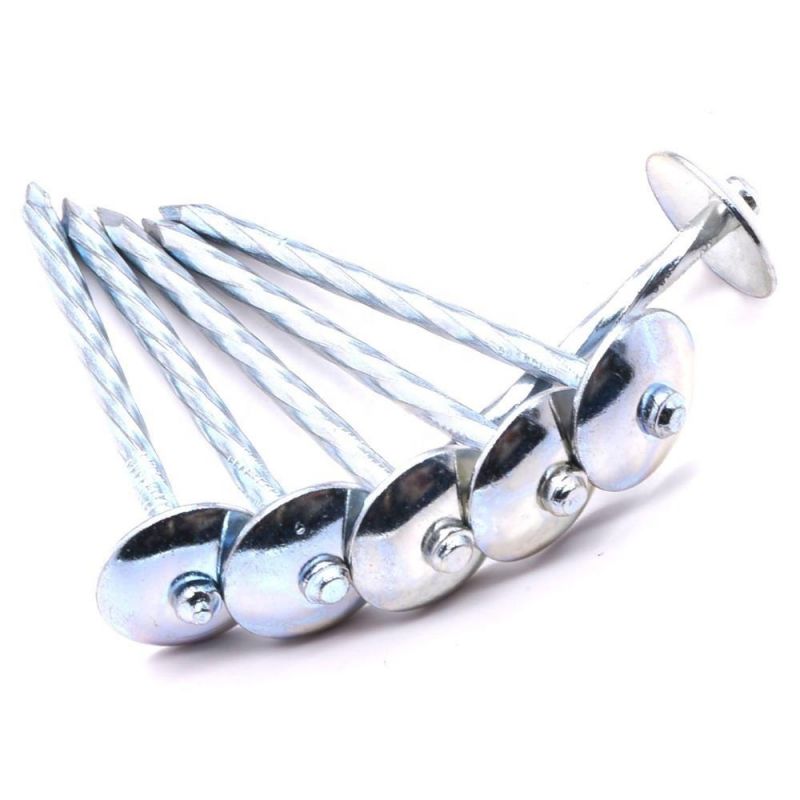 Angola Zambia Namibia Market/Galvanized Umbrella Head Roofing Nails Good Quality Roofing Umbrella Nails