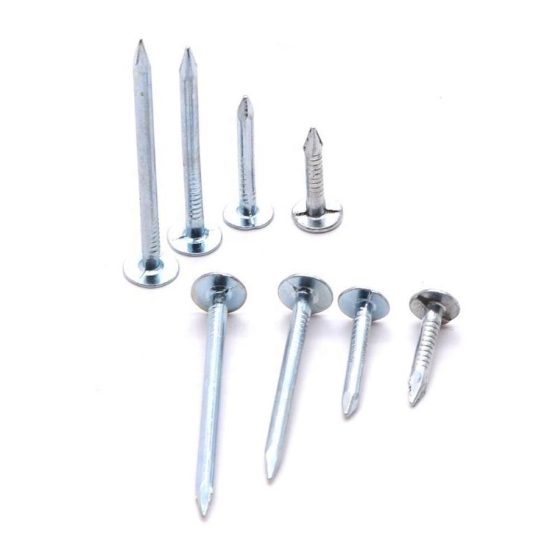 Flat Head Roofing Nails Hot Dipped Galvanized Clout Head Nail