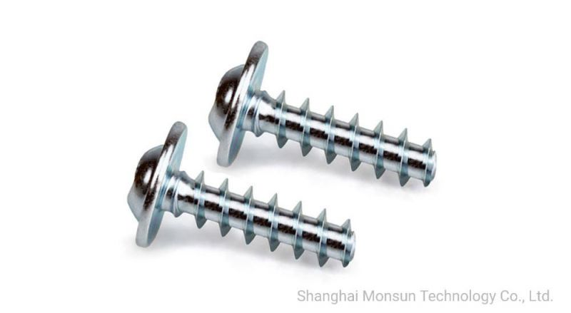 Harden Steel Zinc Coating Star Drive Self Tapping Screws for Plastic