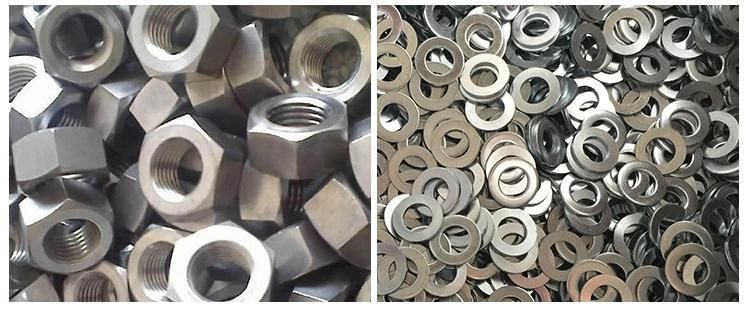 China Suppliers Manufacturing Price Size Galvanize Grade 8.8 Hex Bolt Nut Set Stainless Steel Different Types of Bolts and Nuts