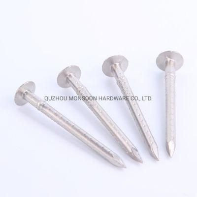 Stainless Steel Plain Flat Head Clout Shank Nails