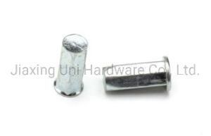 Fastener/Rivet/Nut/Riveting Nut/Closed Rivet Nut/Aluminum/Zinc