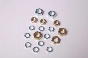 Hex Nut