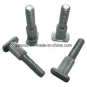 Injection Molding Screw