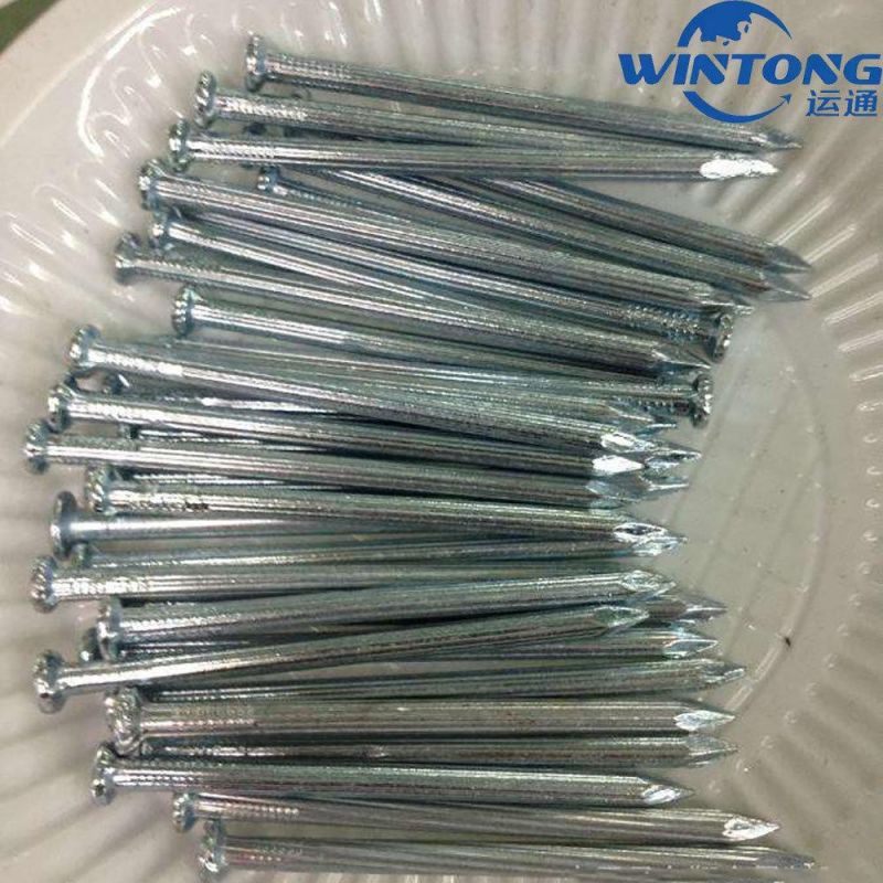 Direct Factory Best Quality Black Concrete Nails Galvanized Concrete Nails