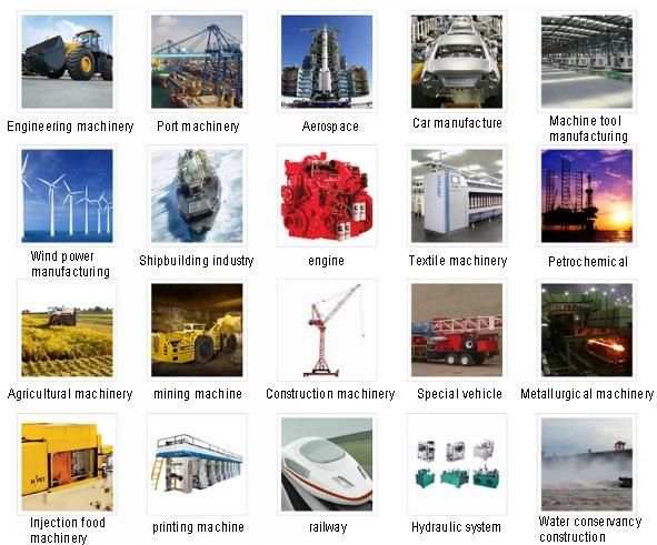 90degree Metric Female 24degree Cone O-Ring Hydraulic Hose Fitting