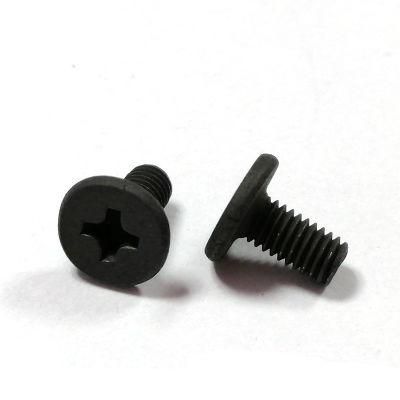 Custom Titanium Ultra Low Pancake Head Phillips Small Screw