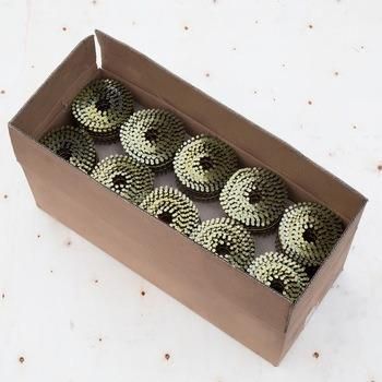 Screw Shank Coil Nail for Wooden Pallet and Frame in Size 2.5mm X 50mm