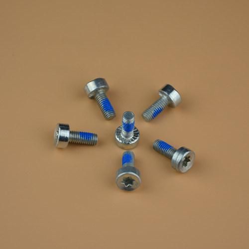 Special Screw Stud Bolts T-Bolt Double End Bolt Chain Saw Bolts