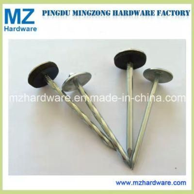 Popular Bwg9*2.5&quot; Umbrella Head Twist Smooth Shank Roofing Iron Nail