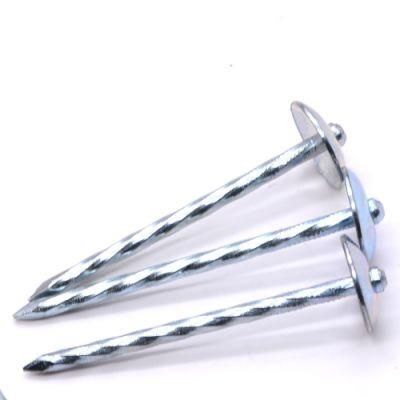 Roof Zinc Nails Umbrella Roofing Nail Umbrella Head Nail