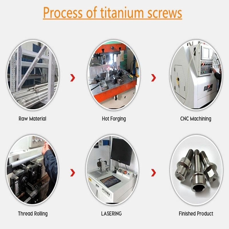 Titanium Connect Screw/Titanium Alloy Screws for Fastener