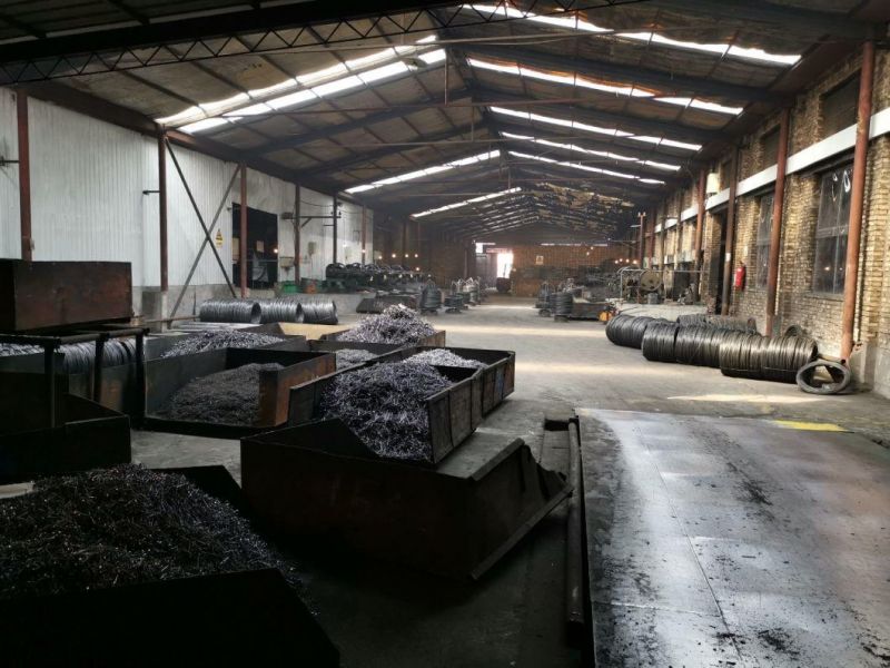 Galvanized Perfect Quality Standard Coil Nail