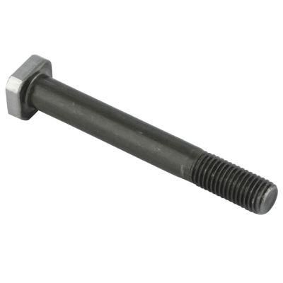 Stainless Steel Square Head Bolt
