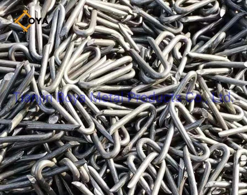 Factory Directly Supply Eg U Type Iron Nail for Fence