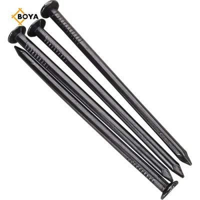 Hot Sale Polished Common Nail with Different Size