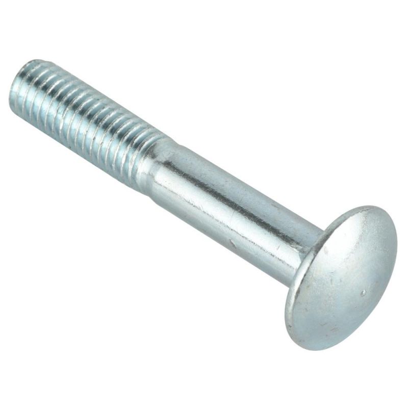 Popular Steel Carriage Bolt 307A