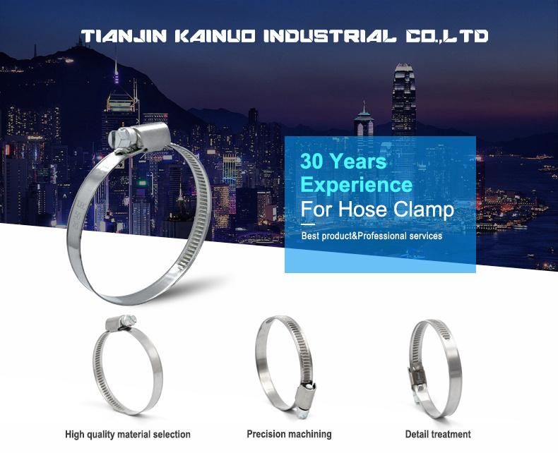DIN3017 W4 304ss Stainless Steel Adjustable Non-Perforated Germany Type Tube Pipe Clip, Worm Drive Hose Clamp, 35-50mm