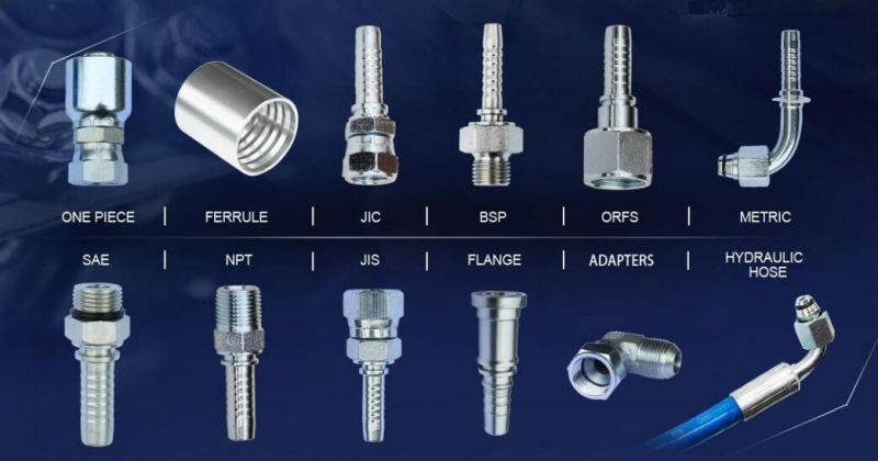 Carbon Steel 45 Degree Metric Bsp Female Hydraulic Hose Fitting