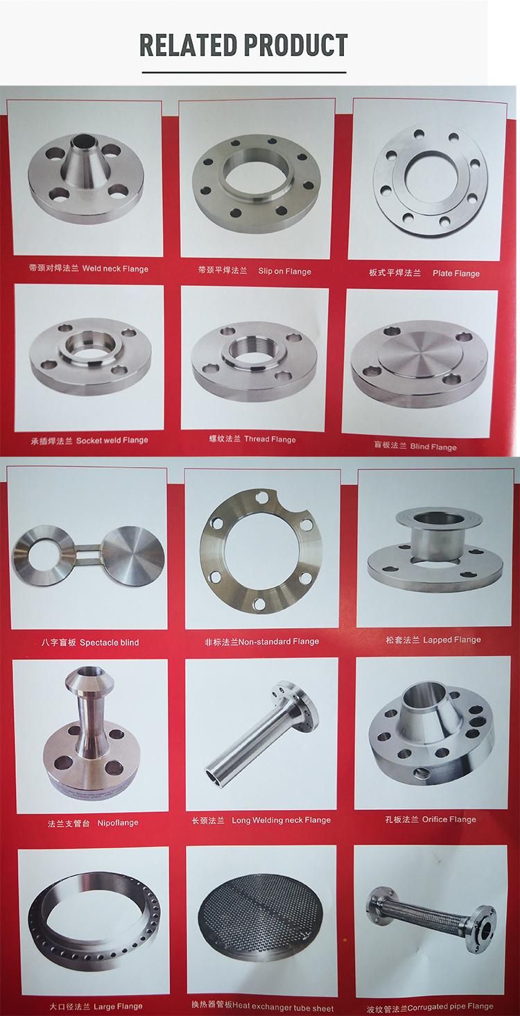 AISI316L Sanitary Stinless Steel Pipe Fitting Blind Flange RF Flange