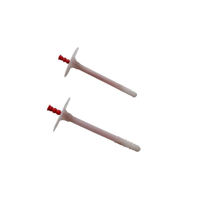 Heat Preservation Nail/Plastic Insulation Fixing Nail