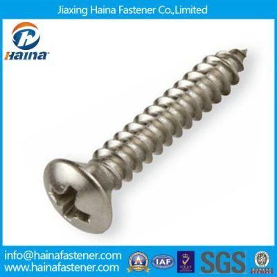 Stainless Steel Phillip Drive Raised Countersunk Head Screw