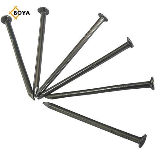 Construction Nails Steel Concrete Nails Common Iron Nail for Building Construction