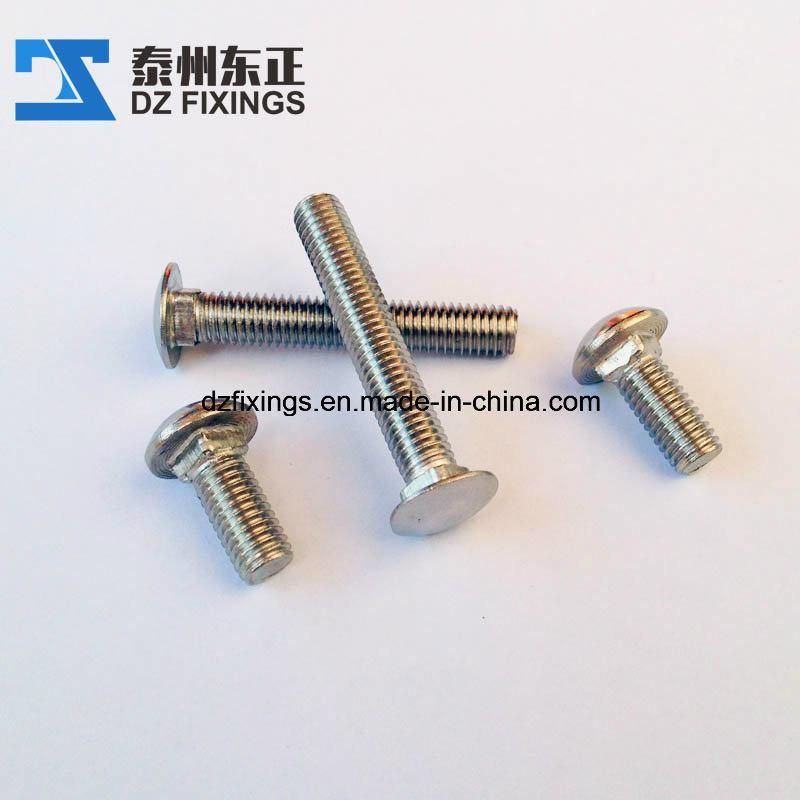 316 Stainless Steel Carriage Bolt