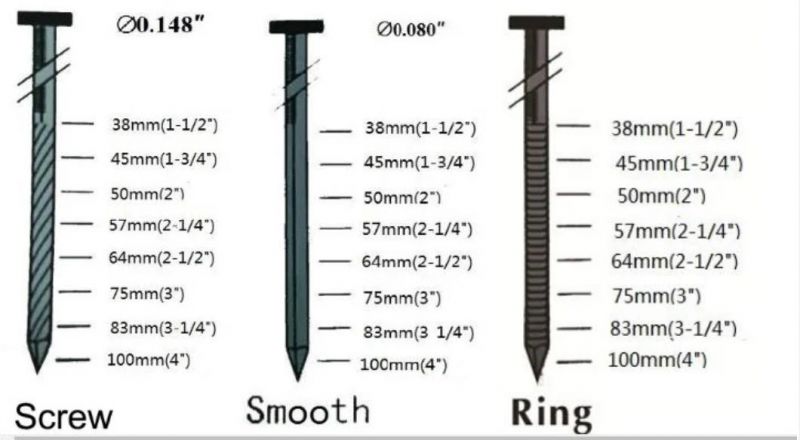 21*38 Screw Shank Coil Nails for Wooden Pallet and Furniture From China