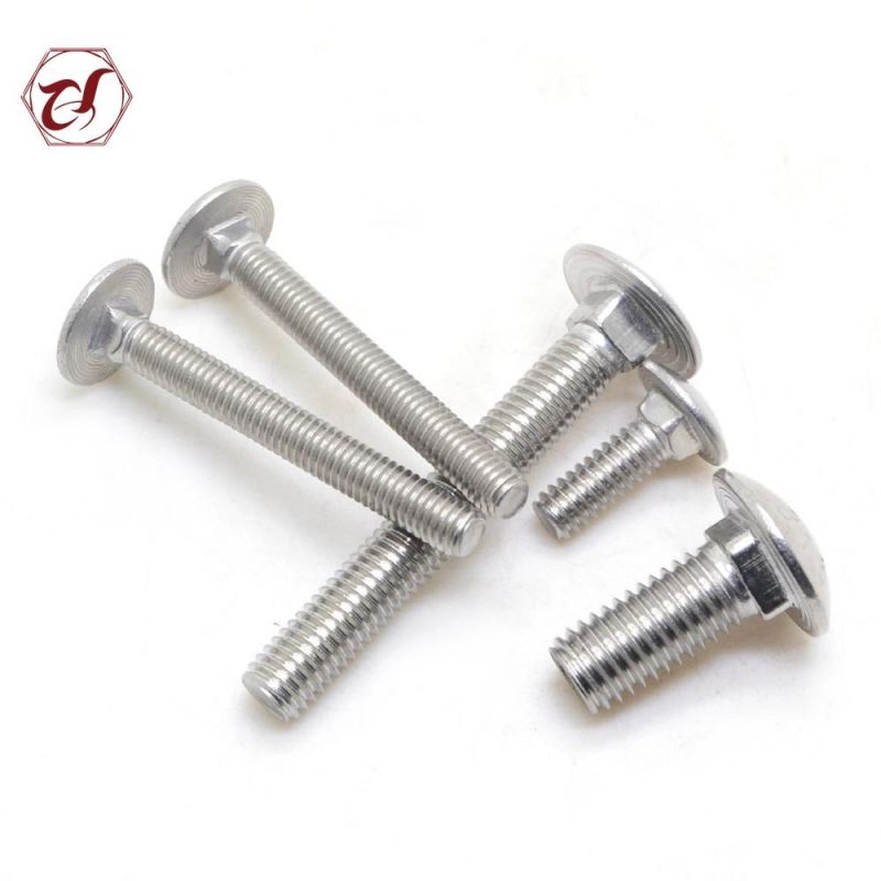 Common Bolt Stainless Steel 304 316 Carriage Coach Bolt Round Head Square Neck Bolt
