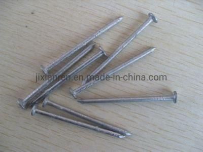 Hot Dipped Galvanized Box Nail