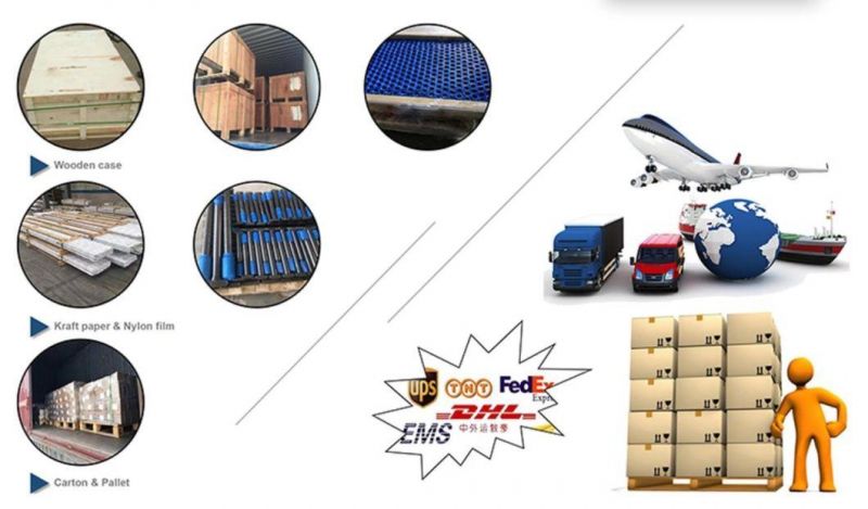Factory Directly Supply DIN912/ISO4762 Hex/Hexagon Socket Head Cap Screw with Grade 12.9 PTFE