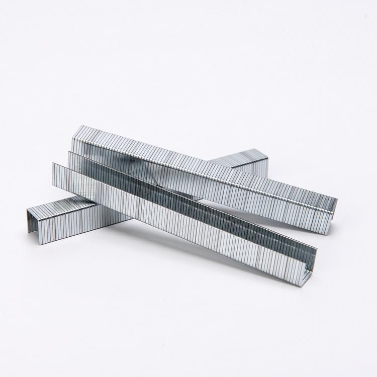 Galvanized Staples 80 Series Staples for Furniture Industry