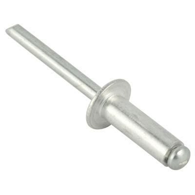 Paint Head Aluminium Rivet2016 Hot Sale