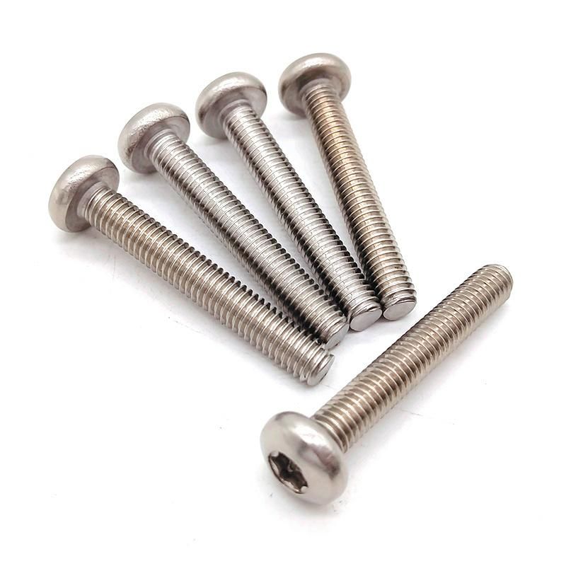 Stainless Steel Machine Screw High Security /Anti-Theft Screw