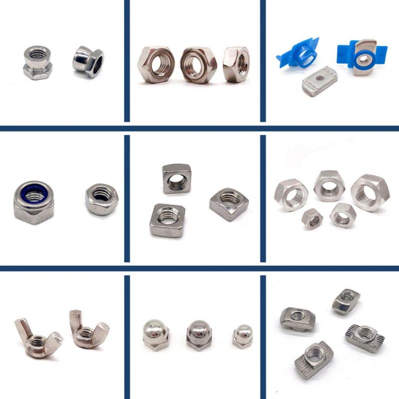 Manufacture A4-80 A2-70 Customization Anti Theft Twist Stainless Steel 304/316 Hex Breakaway Security Nuts