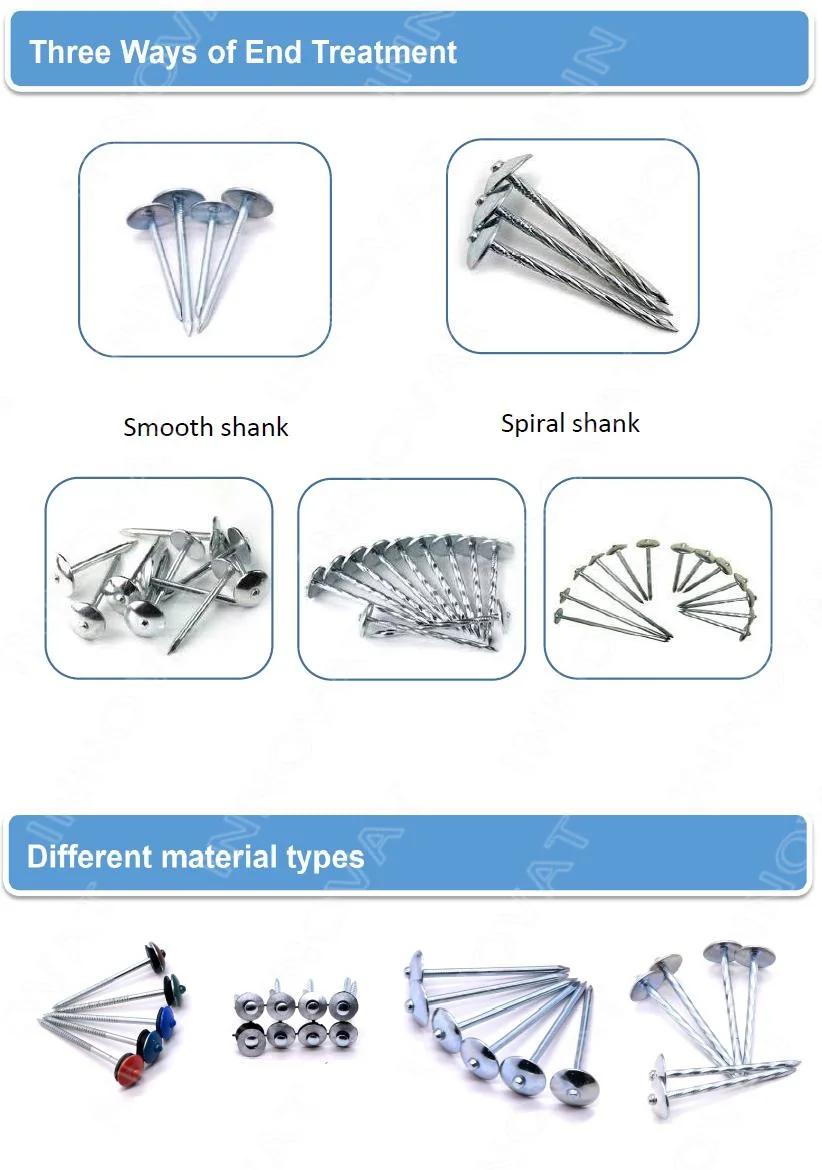 Umbrella Head Roofing Nails/Iron Nail/Steel Nail/Coil Nail/Galvanized Roofing Nail