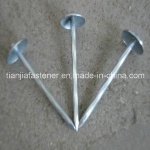 Roofing Nails