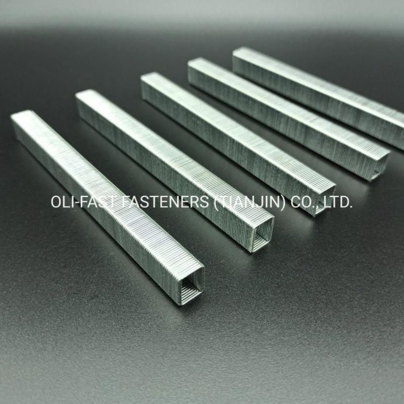 22ga Galvanized 71/3.5mm Upholstery Staples with Good Quality