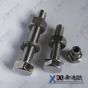 1.4539/904L Wholesale Stainless Steel DIN Standard Hex Bolt with Nut