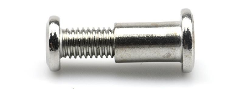 Satinless Steel 304 M6 Hex Socket Flat Head Chicago Screw