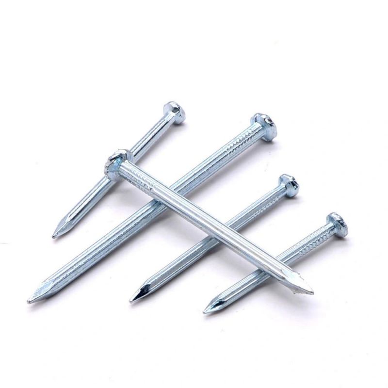 Professional Angular Spiral Steel Concrete Nails Wire Nail Suppliers