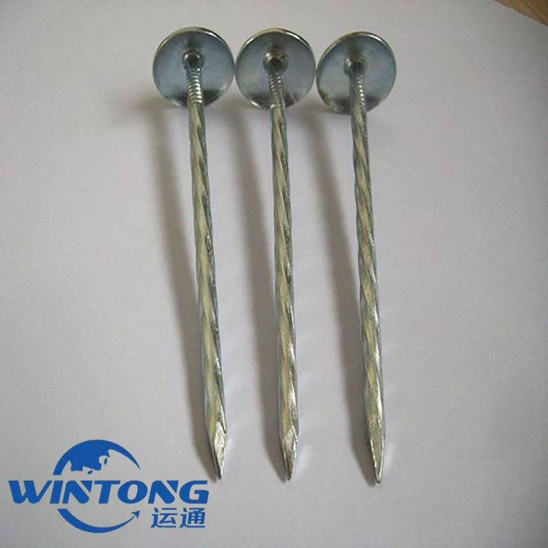 Umbrella Head Twisted Shank Roofing Nail